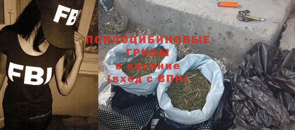ешки Алексеевка