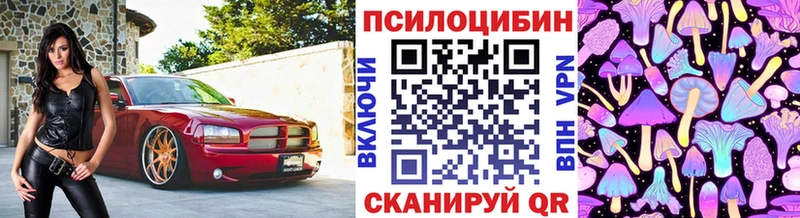 hydra ТОР  Омутнинск  Псилоцибиновые грибы ЛСД  закладки 